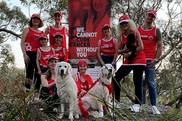 Superstar Fundraisers: Virtual City2Surf