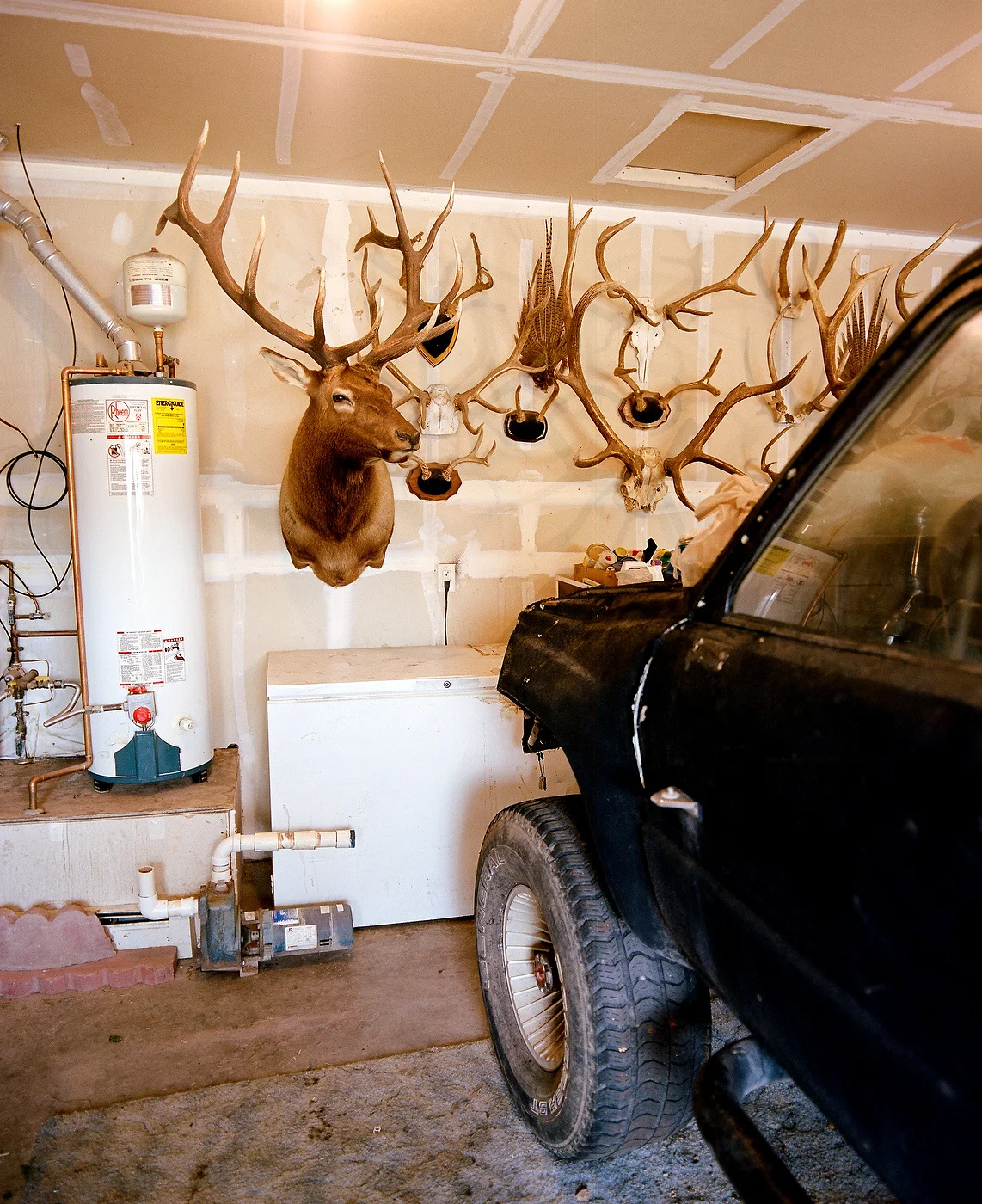 trophy-room-small24_1142.JPG