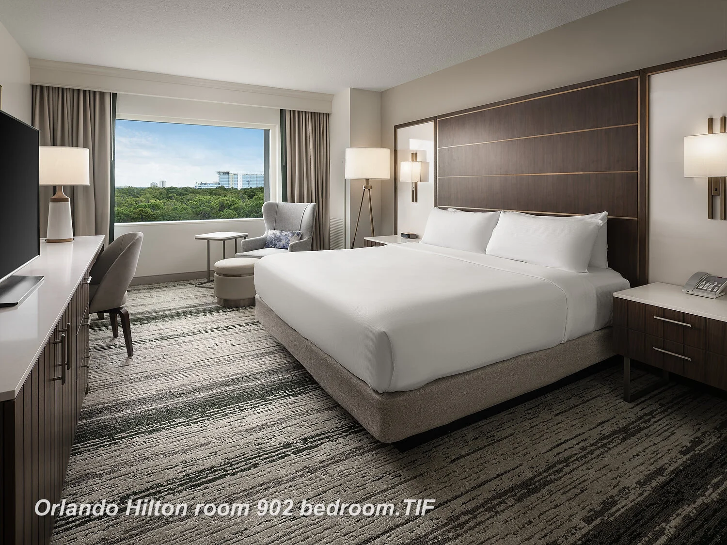 Orlando Hilton room 902 bedroom.JPG