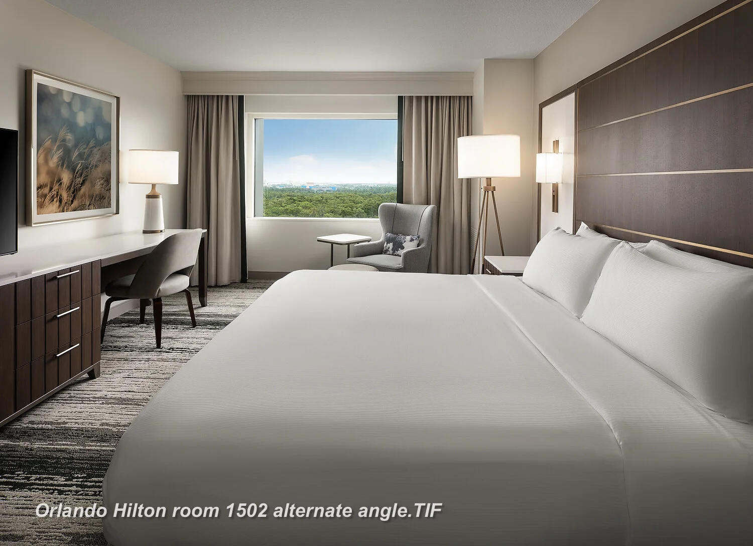 Orlando Hilton room 1502 alternate angle.JPG