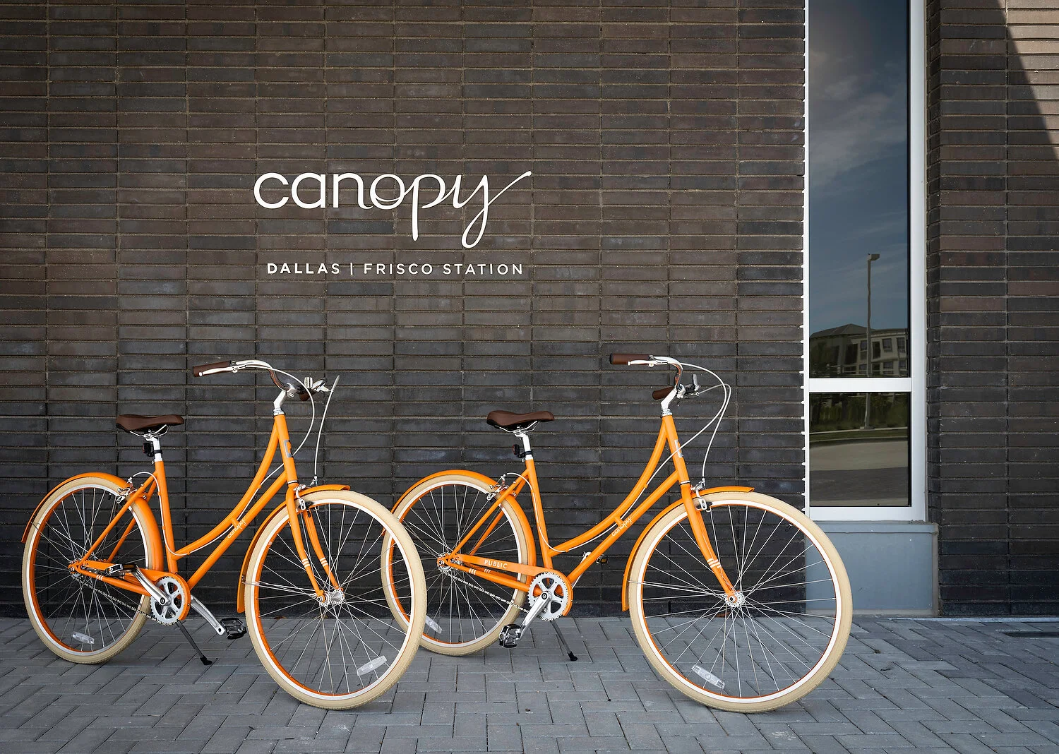 Canopy bicyclesA.JPG