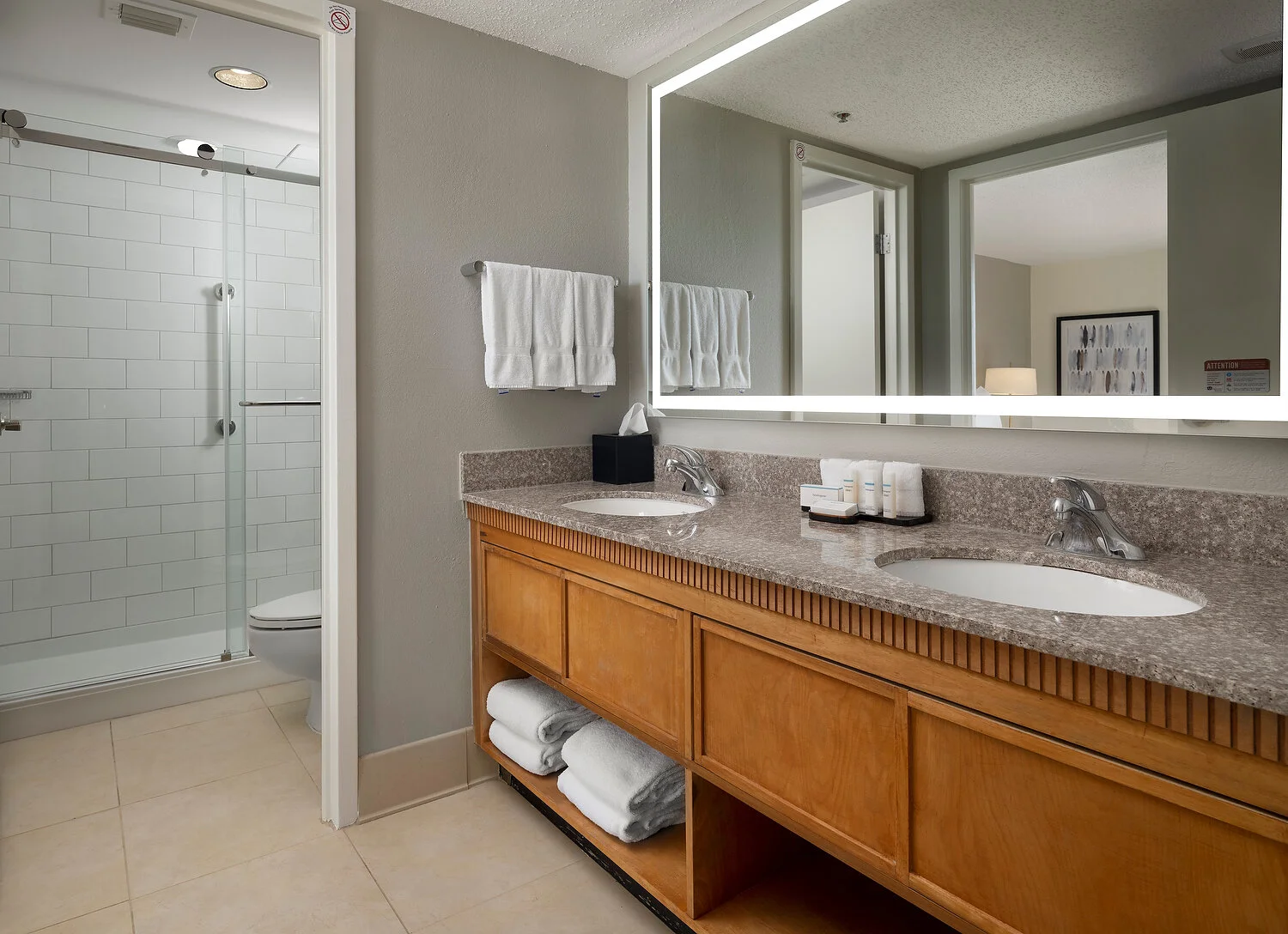 Embassy suites king bathroom.JPG