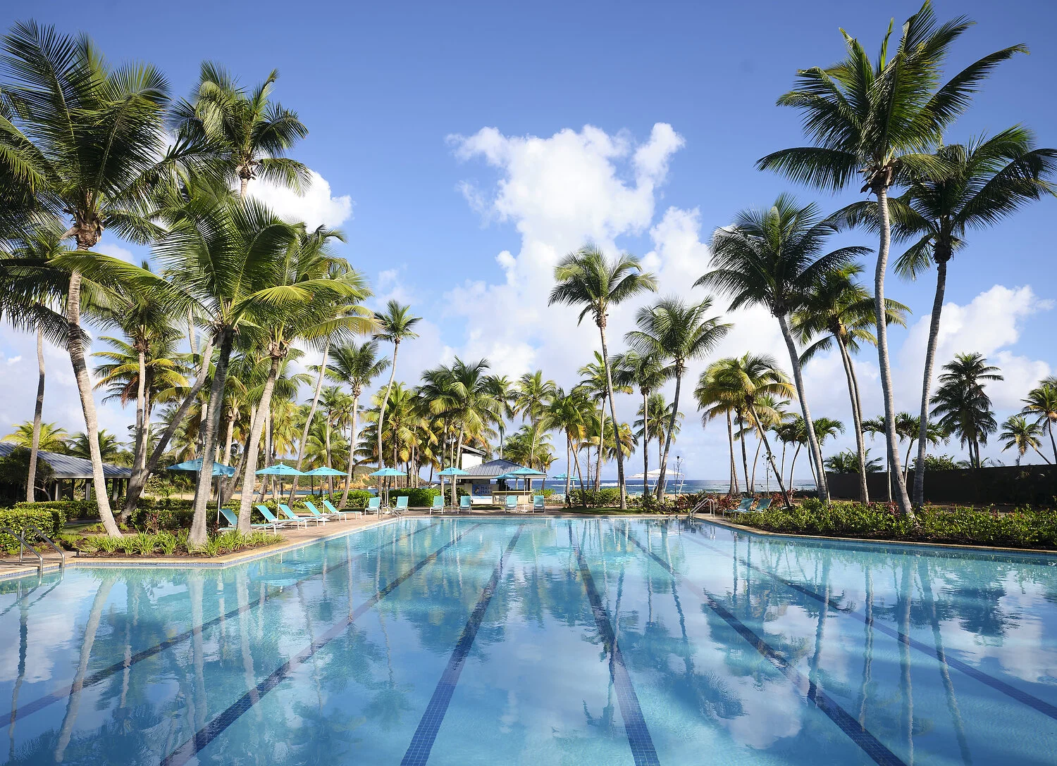 Puerto Rico HRC exterior pool needs layer fix.JPG