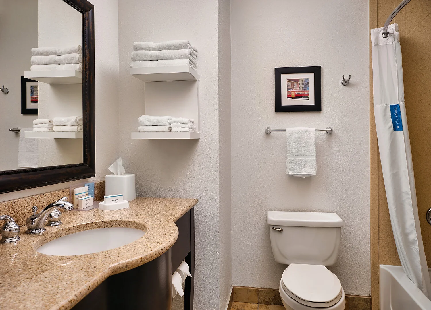 Convington Hampton Inn 210 standard bathA.JPEG