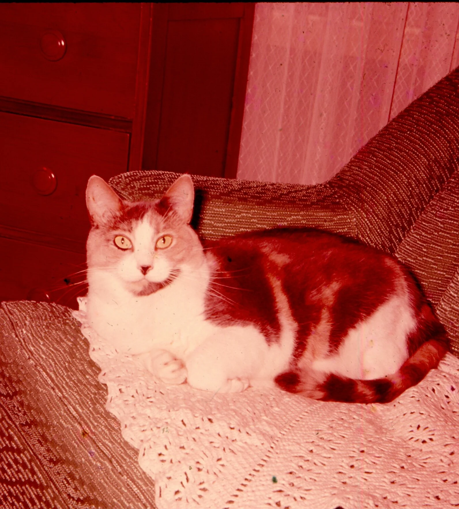 T01_004.jpg