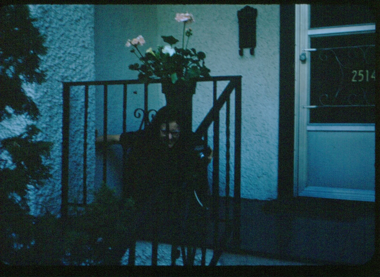 T01_008.jpg