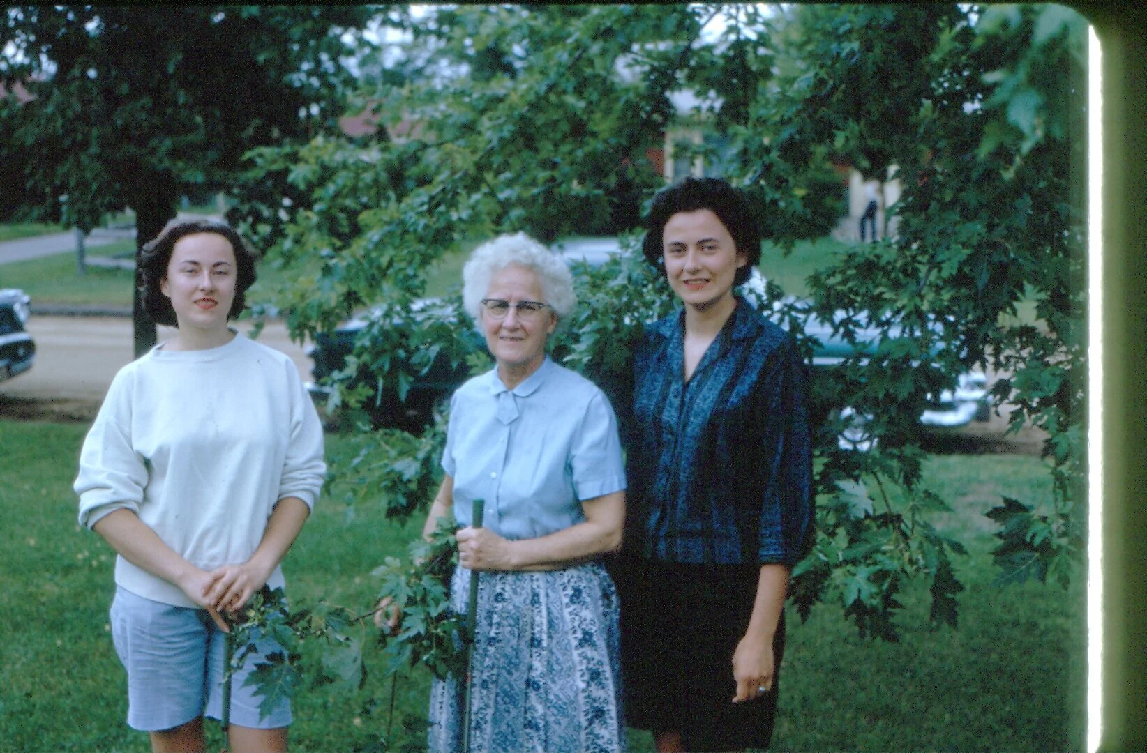 T01_014.jpg