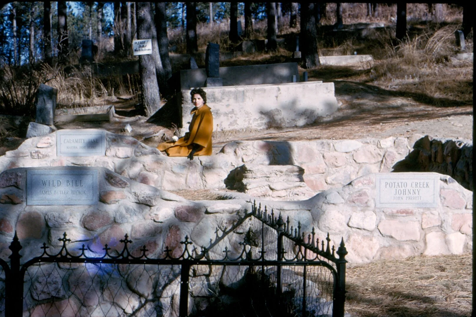 T03_008.jpg