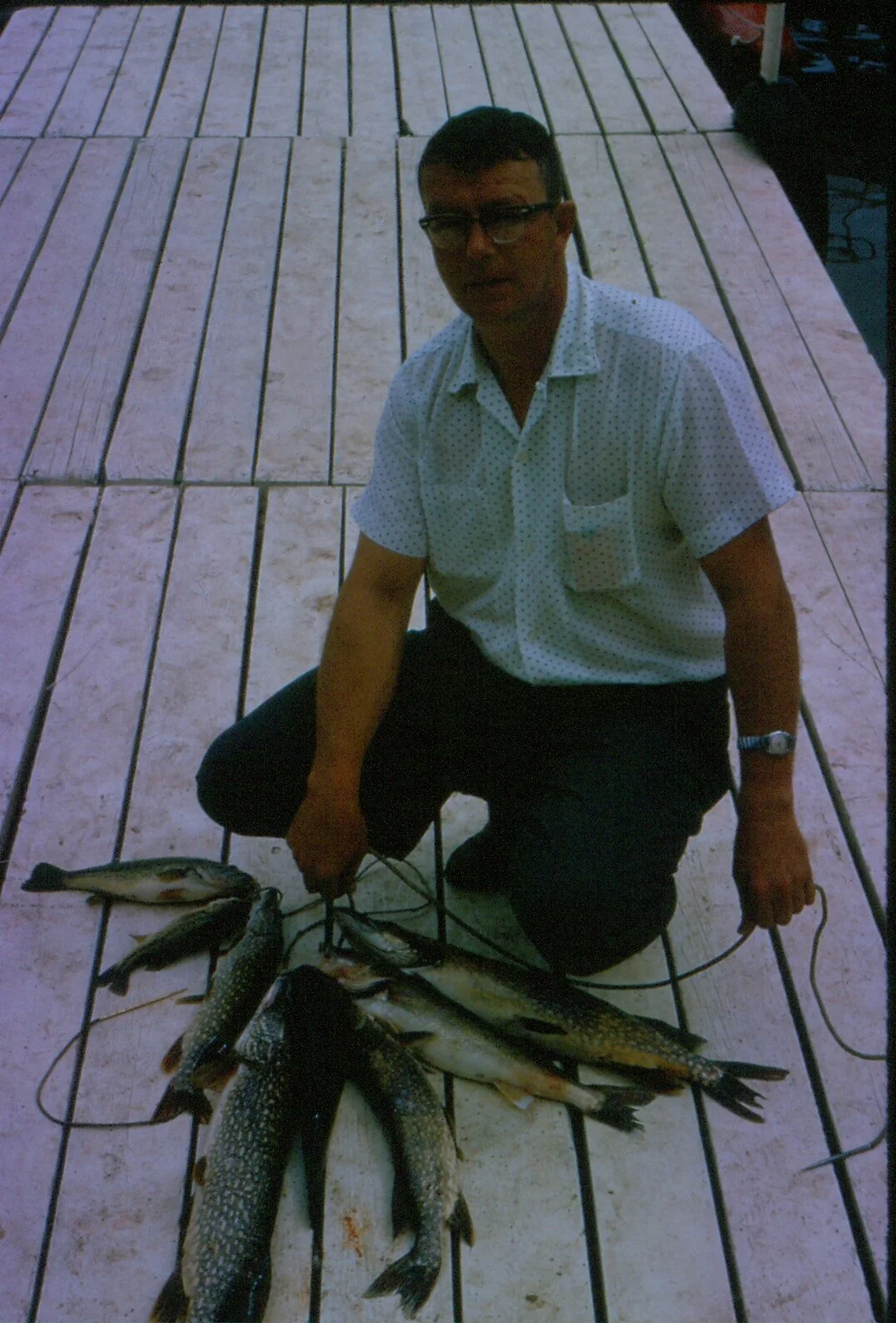 T03_024.jpg