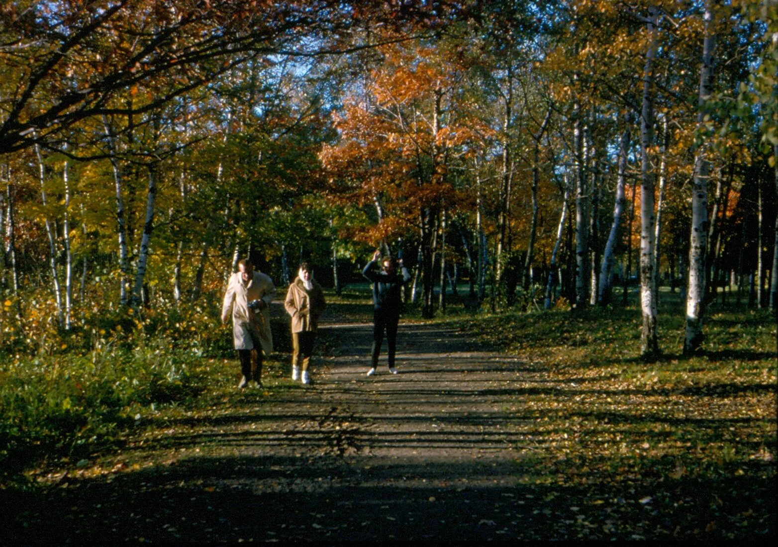 T03_060.jpg