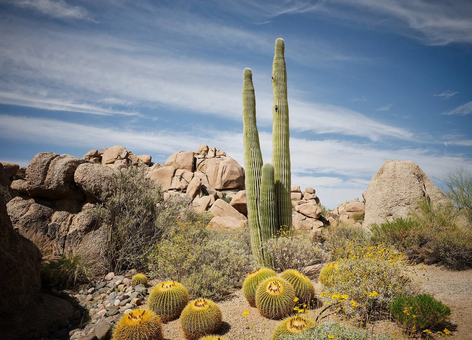 Desert Oasis mountains and desert.JPG