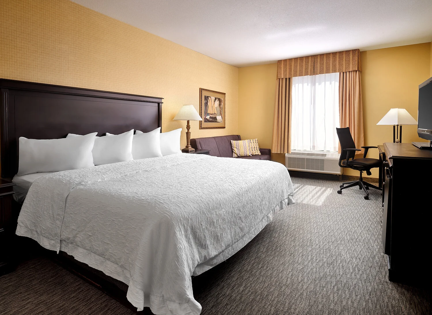 Grapevine Hampton Inn 215 king bedAA.JPEG