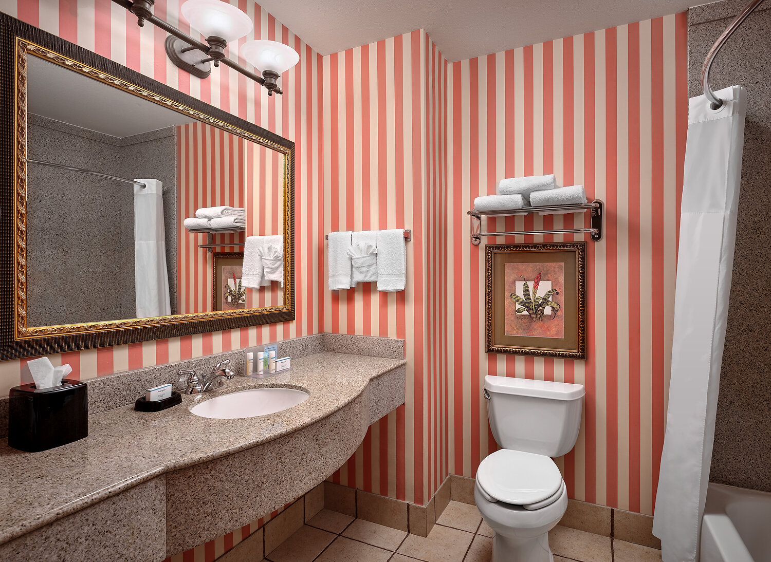 Grapevine Hampton Inn standard bath.JPEG