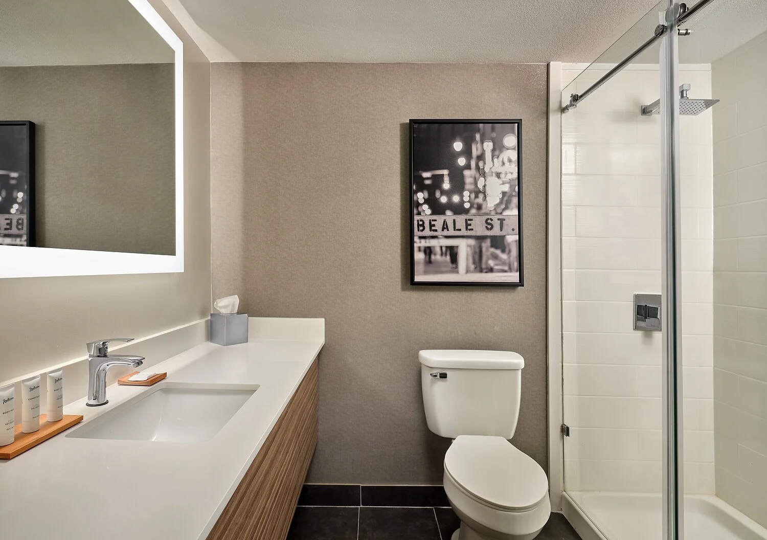 Radisson standard bathroomA.JPEG