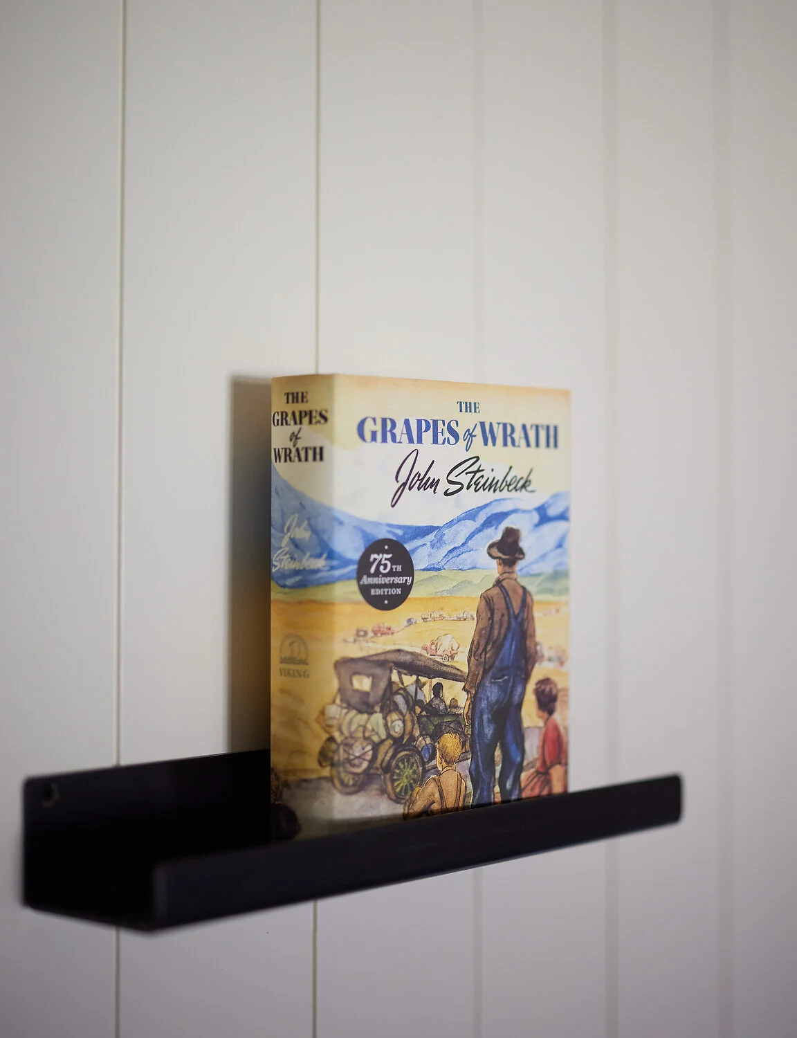 FS books in guestroom 7a.JPG