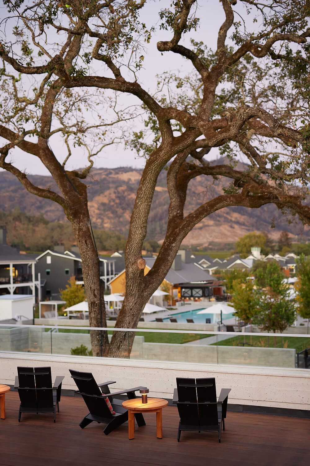 FS oak tree view 1 (1)A.JPEG