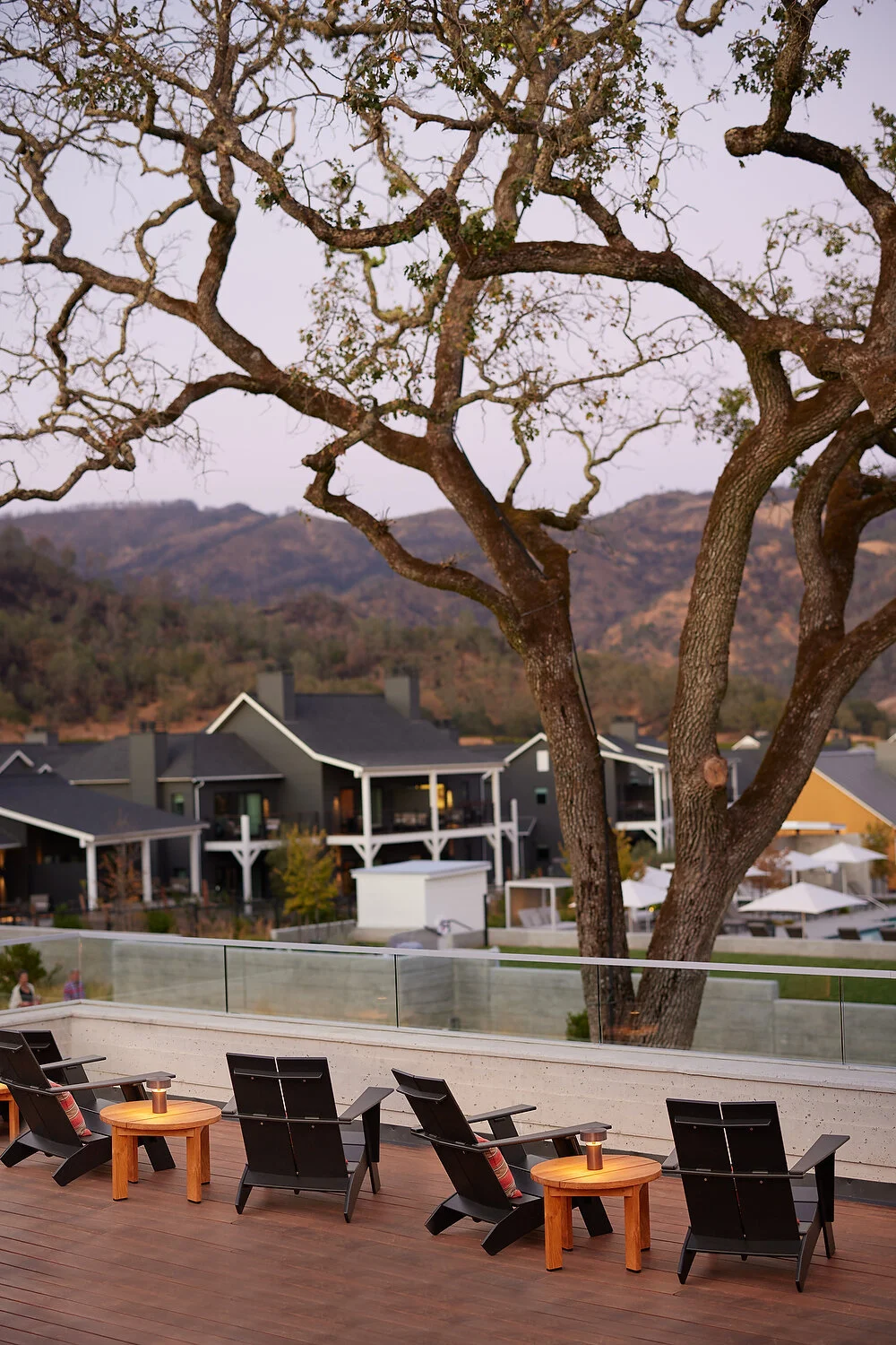 FS oak tree view 2A.JPEG