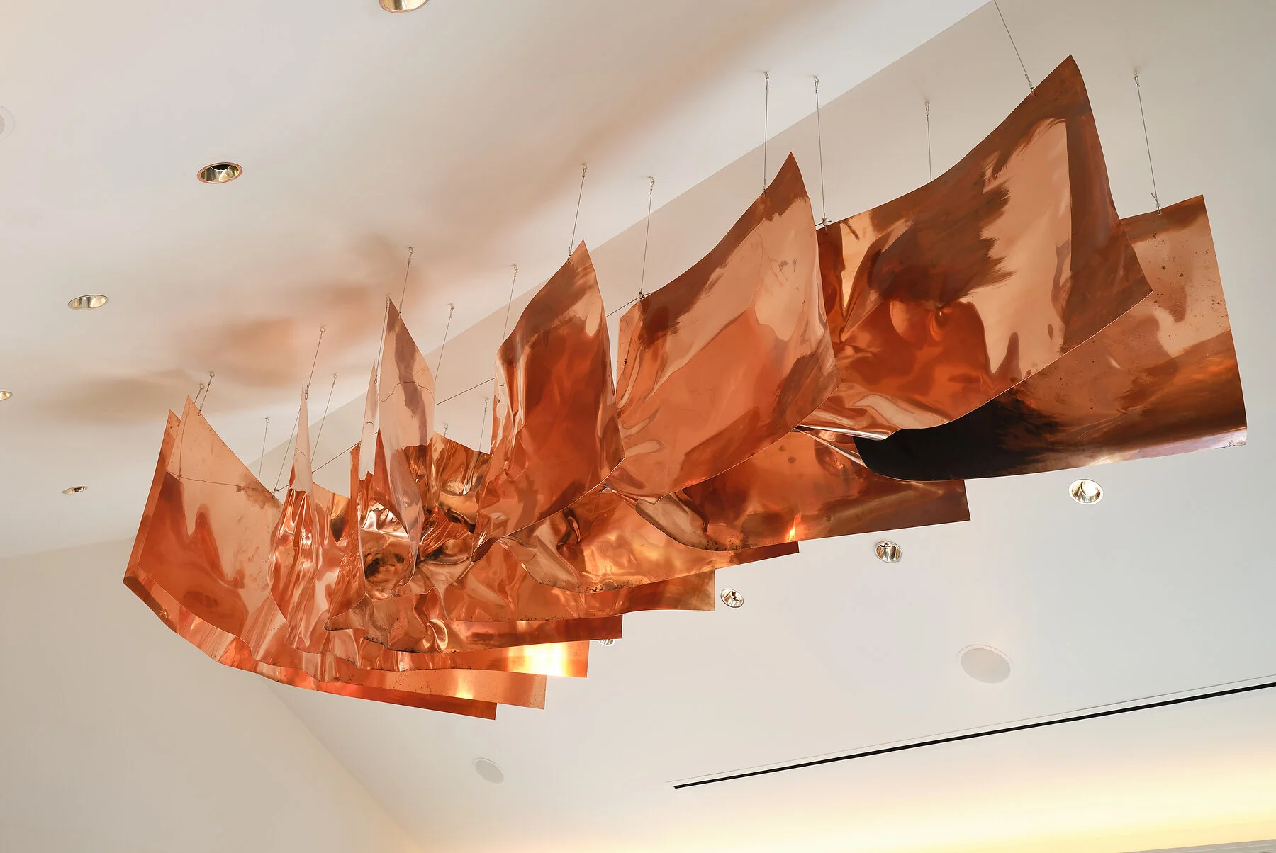 FS copper art on ceiling1 (1).JPEG