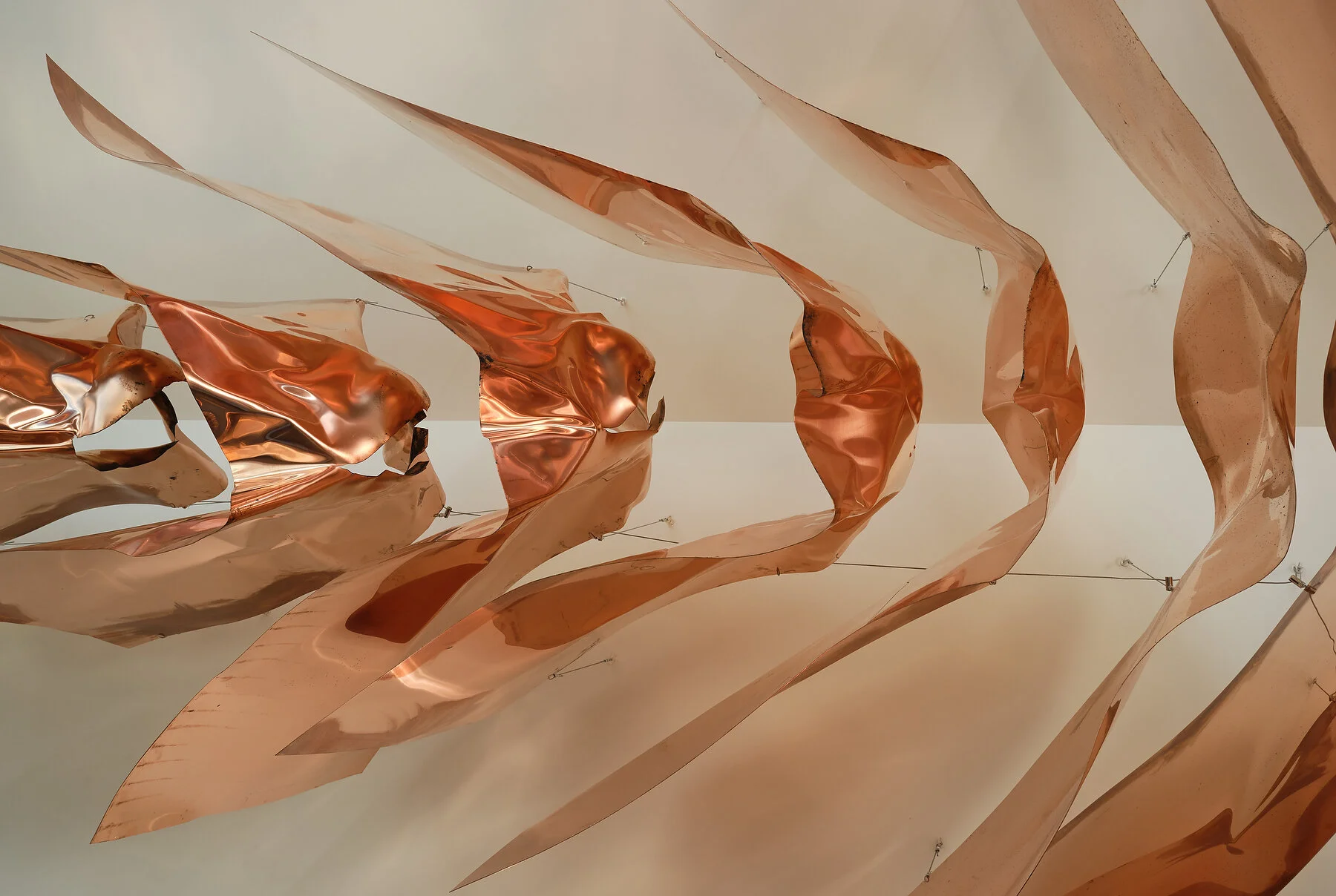 FS copper art on ceiling2 (1).JPEG