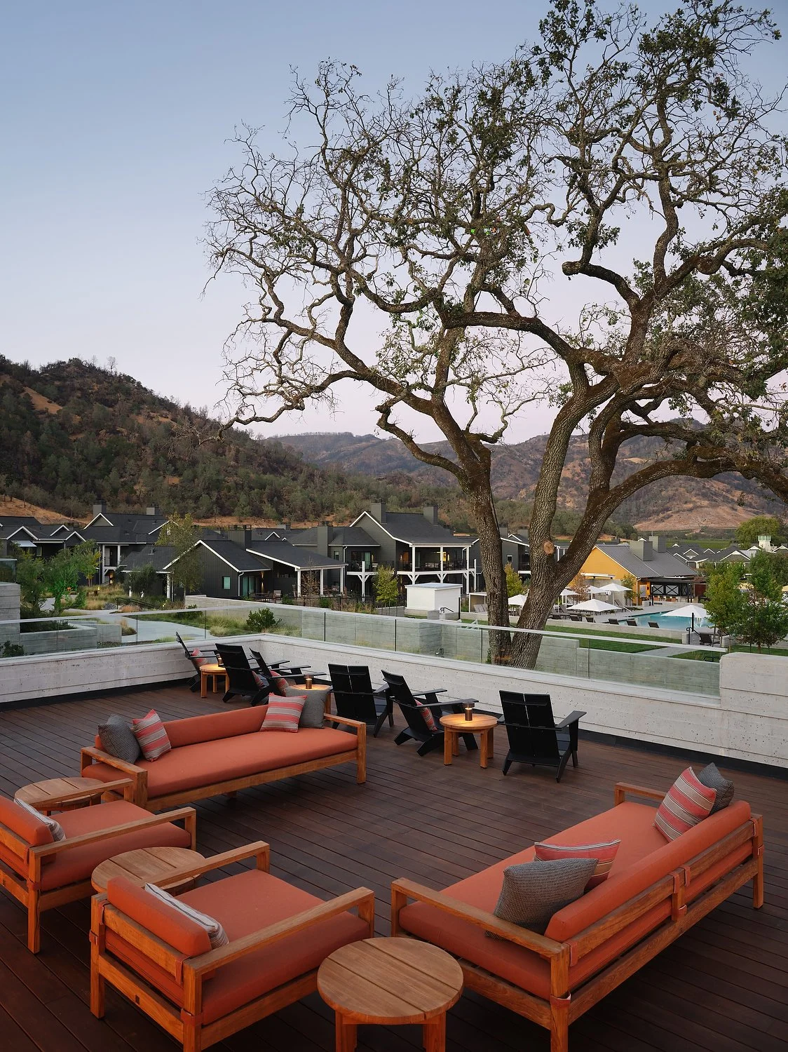 FS patio oak treeA.JPG