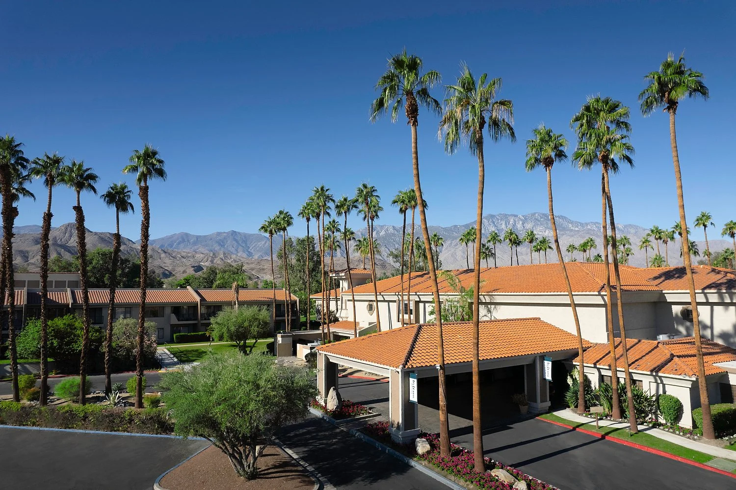 Palm Springs exteriors 1-2.JPG