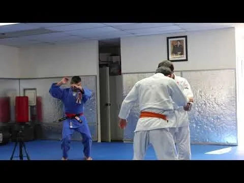 judo video 1