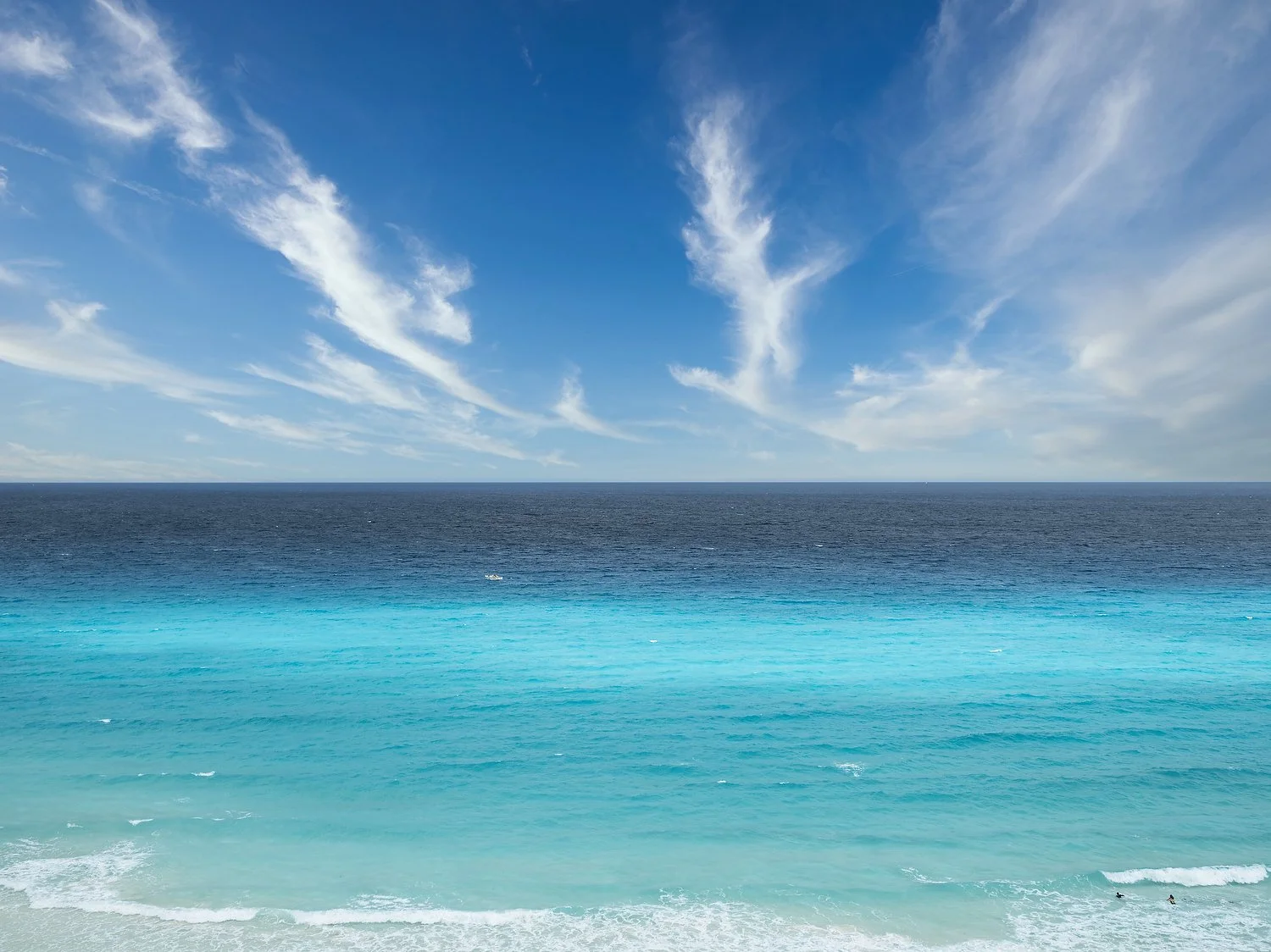 ocean view plate shot.JPG