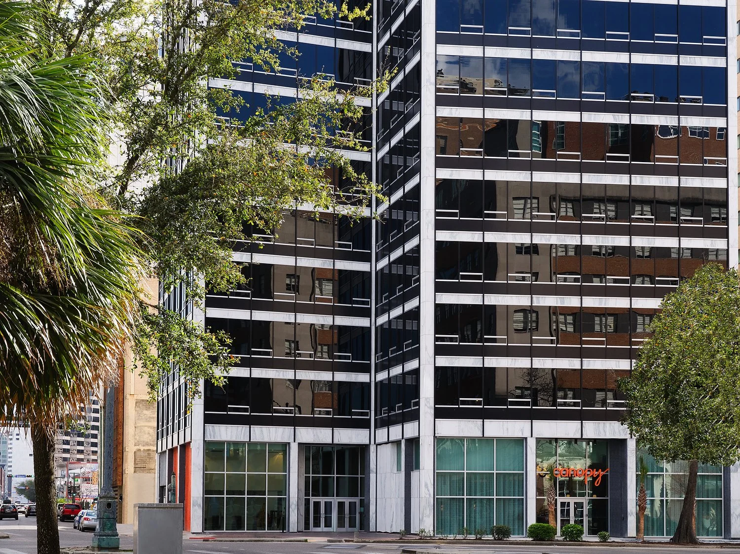 New Orleans tight exterior 3.JPEG