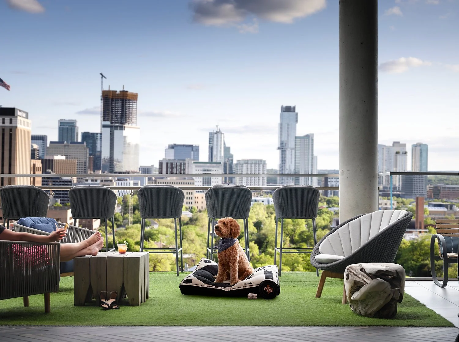 Austin Otis dog at rooftop bar 4.JPEG
