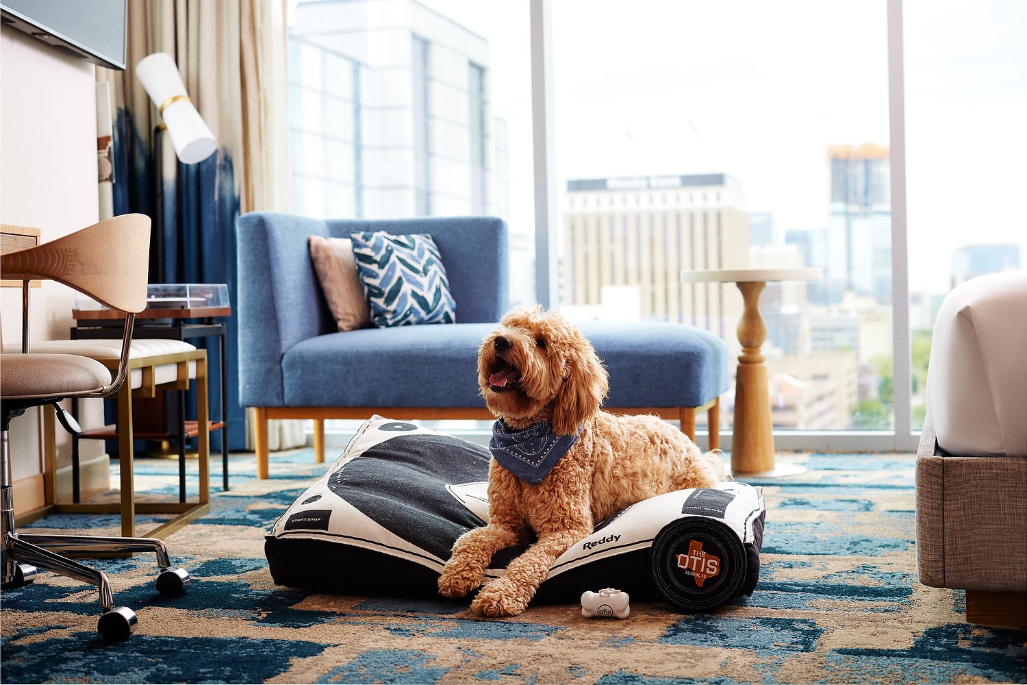 Austin Otis dog in bed 1.JPEG