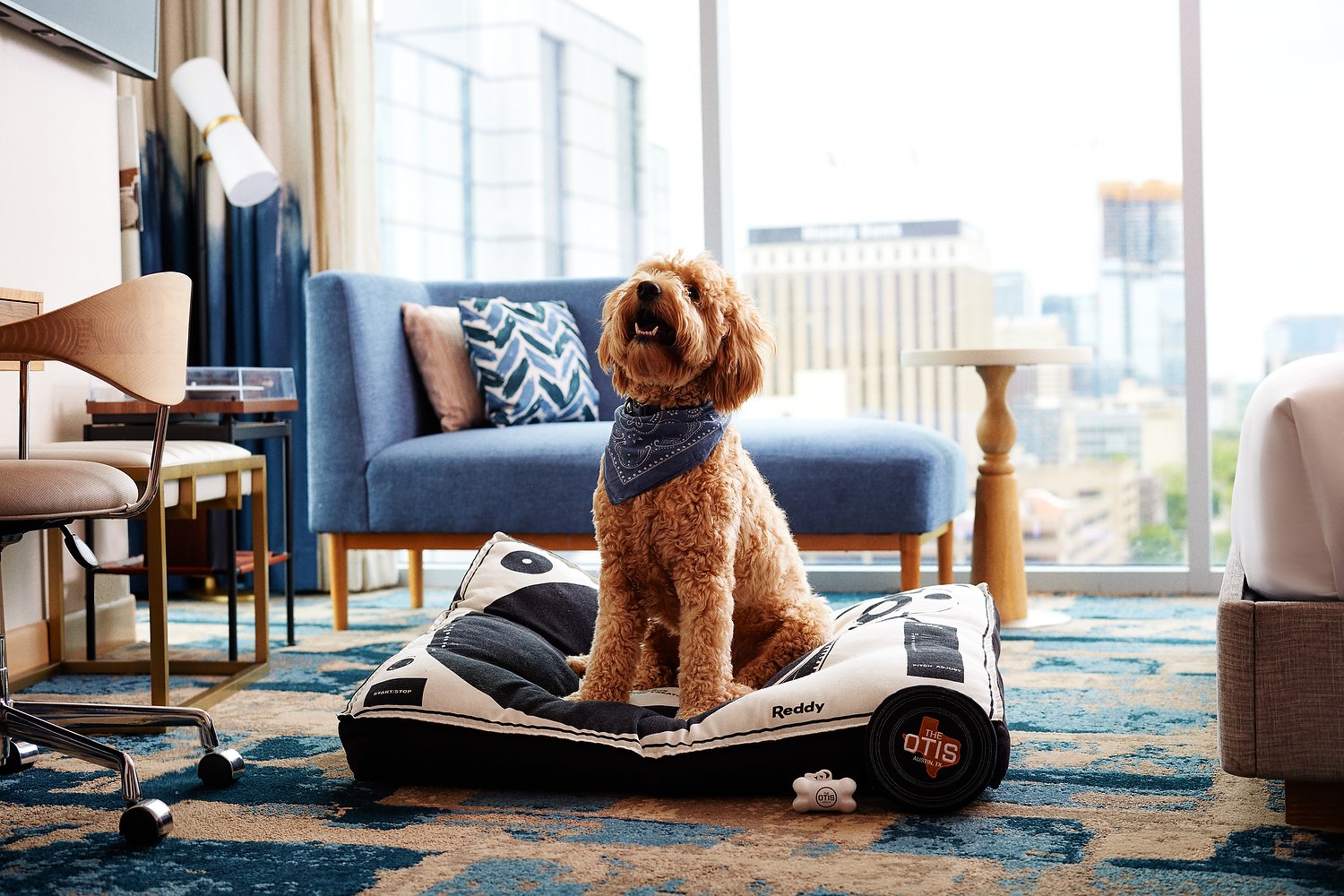 Austin Otis dog in bed 2.JPEG