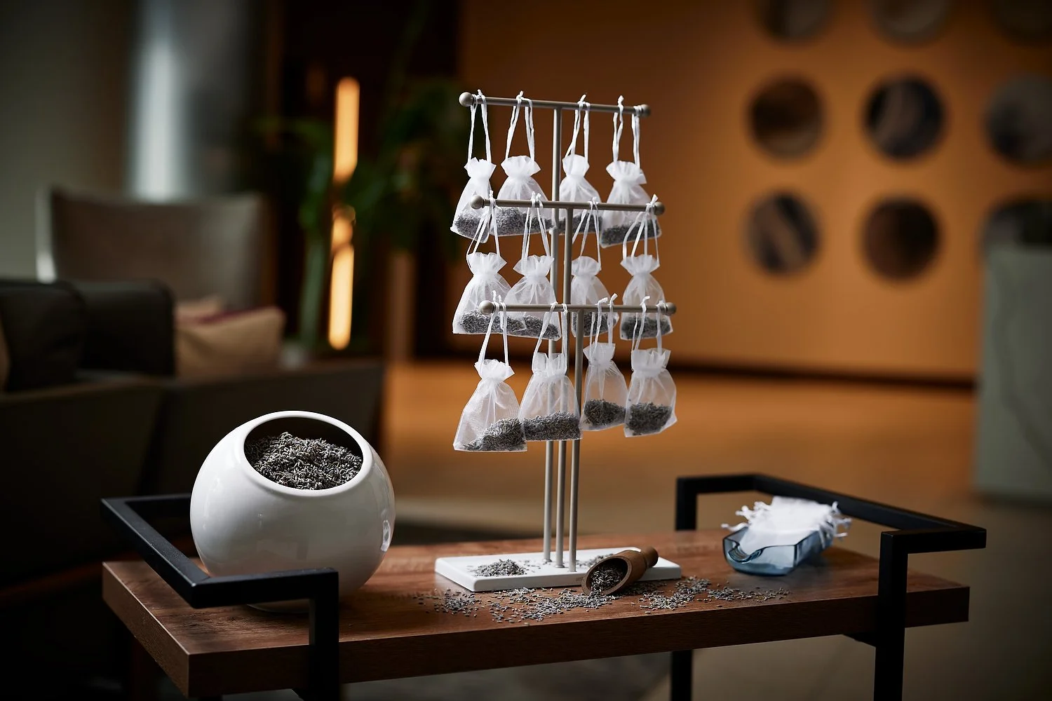 Austin AC hotel lavender a.JPEG