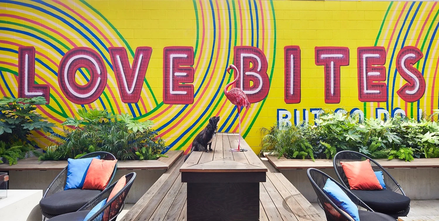 Austin Moxy dog love bites.JPG