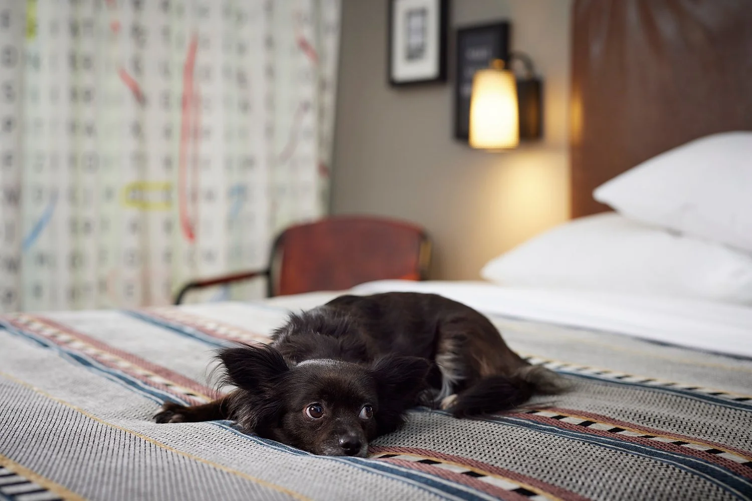 otis33830.JPG