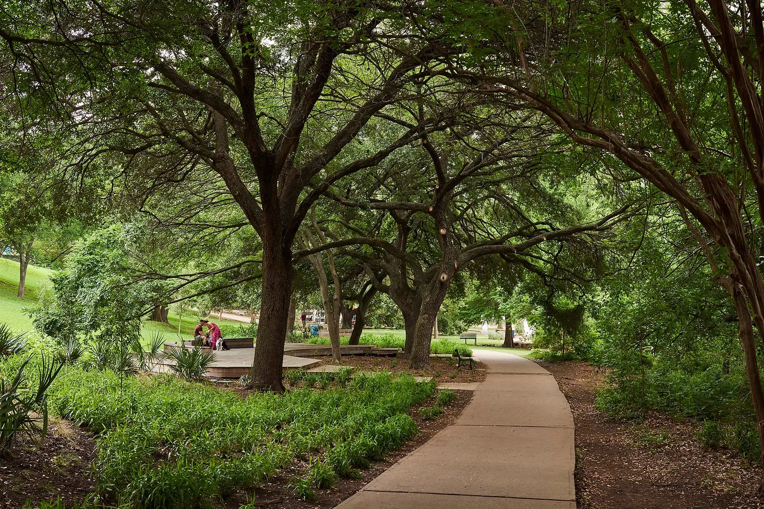 Austin Moxy river walking trail 2.JPG