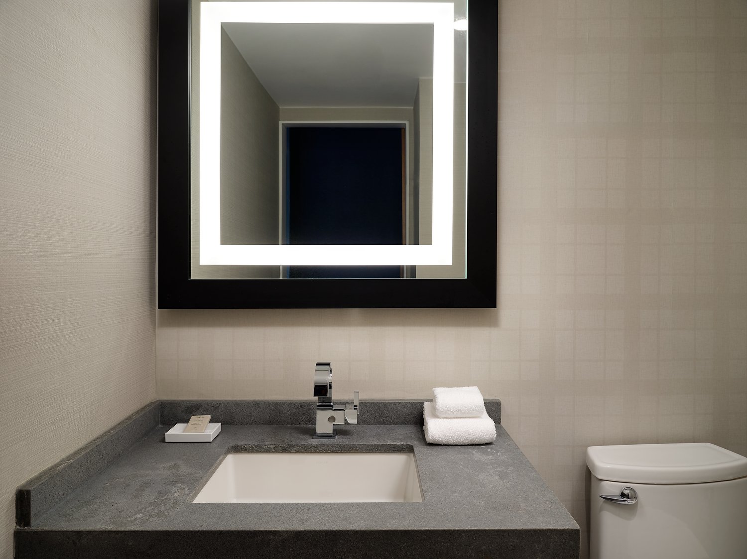 Minneapolis Rennaissance bathroom alt.JPEG