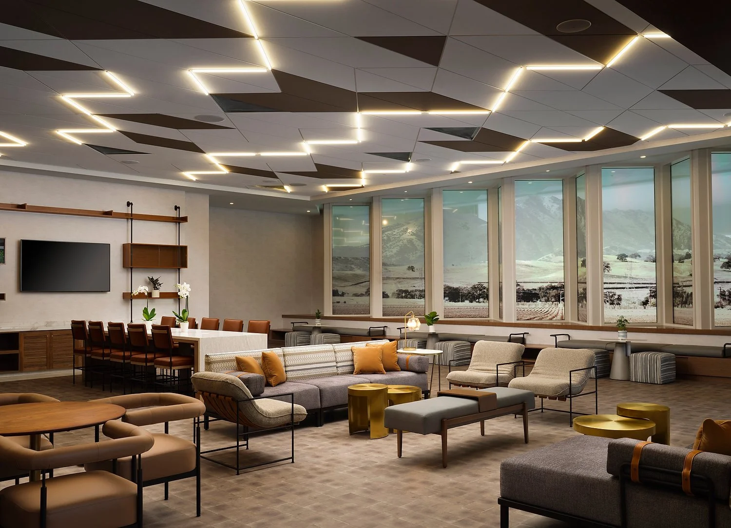 Irvine Sonestra lounge wide shot-PATH.JPG