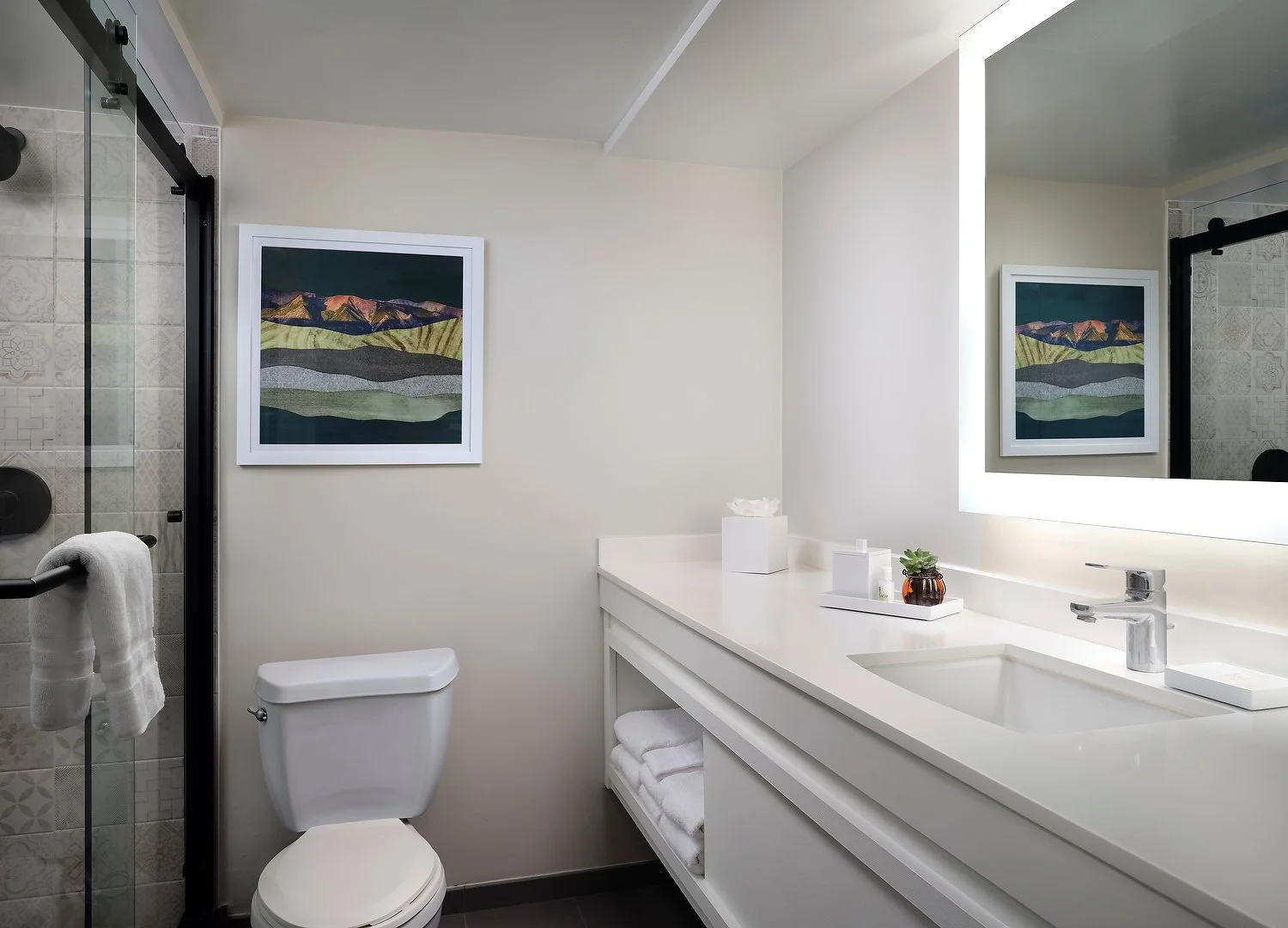 SONESTA standard bathroom shower.JPEG