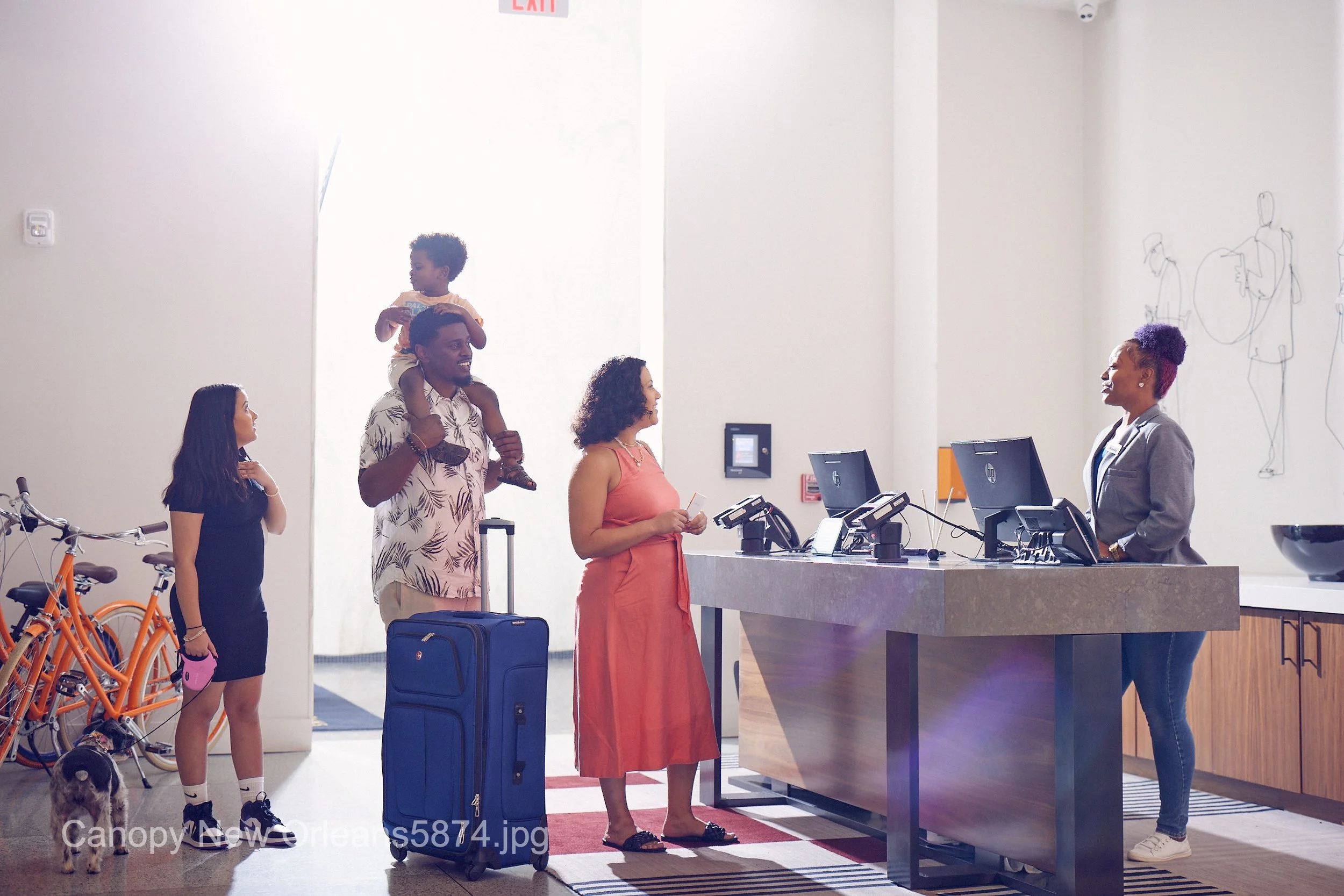 Canopy New Orleans5874.JPG