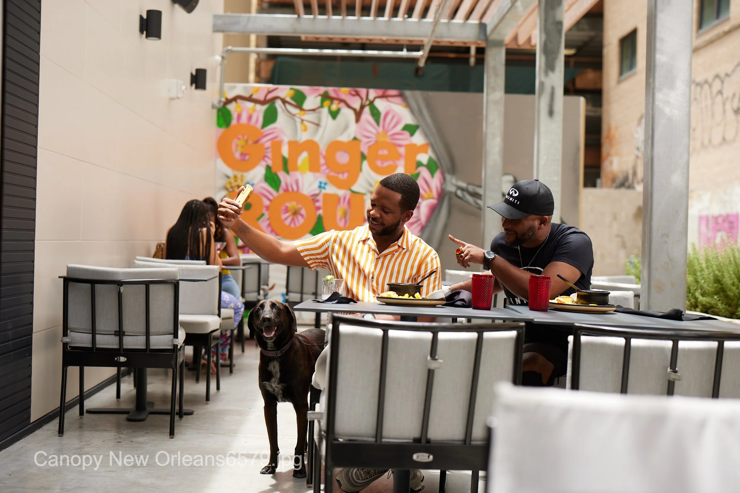Canopy New Orleans6579.JPG