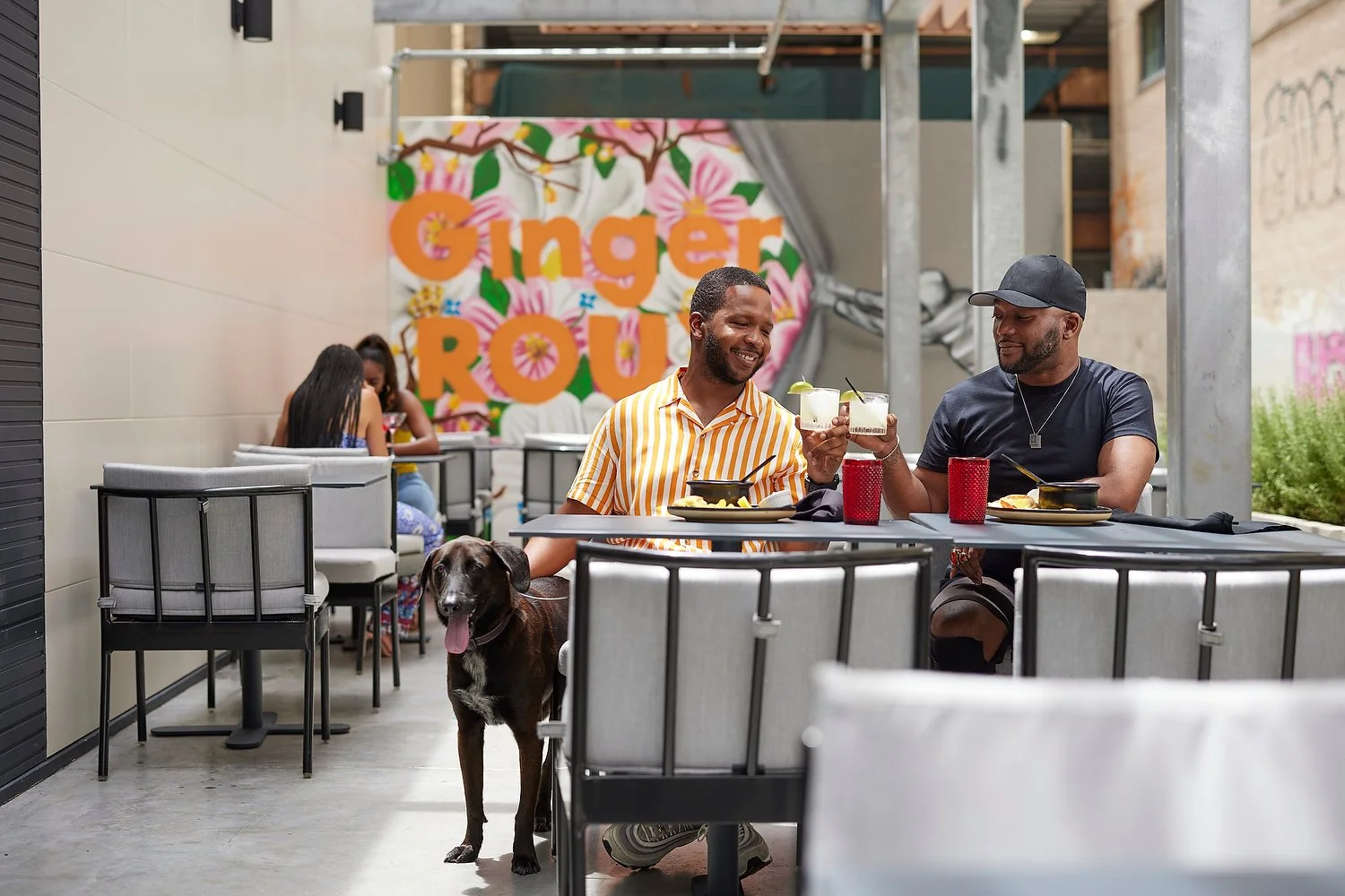 Canopy New Orleans66100.JPG