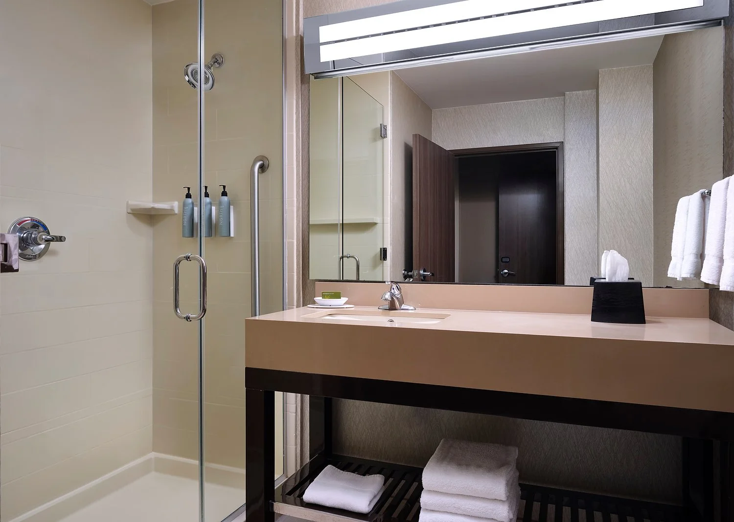 Dallas Grapevine DFW Courtyard king standard bathroom with bulk caddy.JPEG