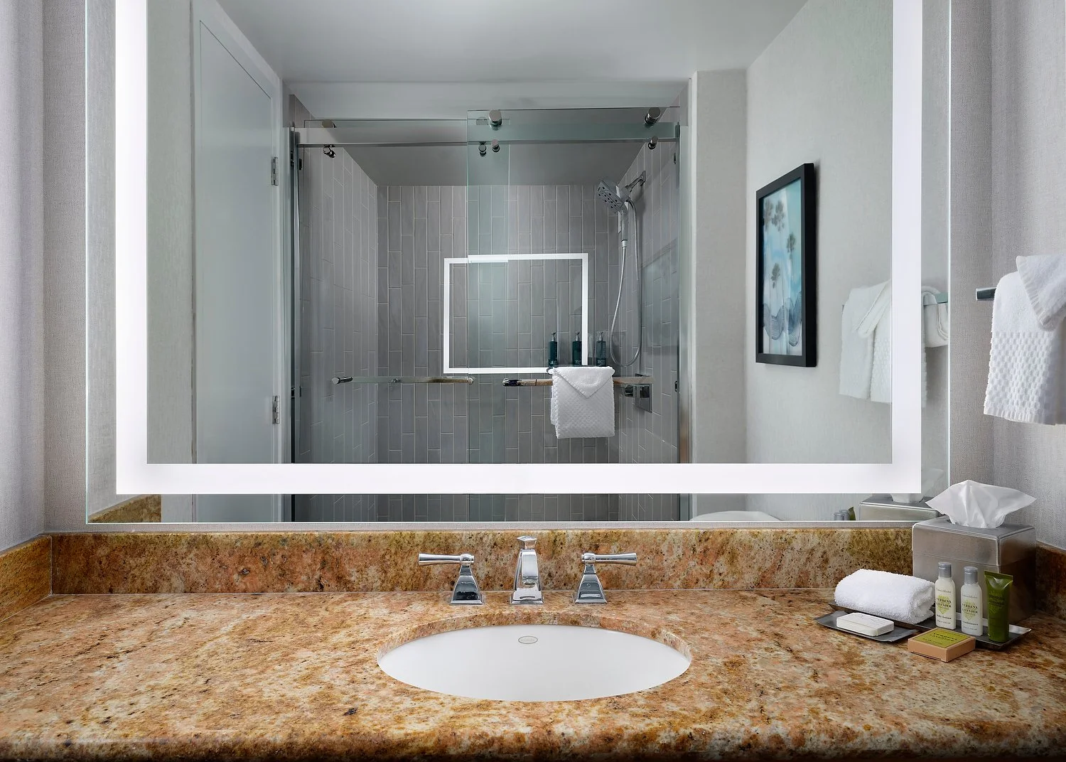 Anaheim Fera standard bathroom.JPEG