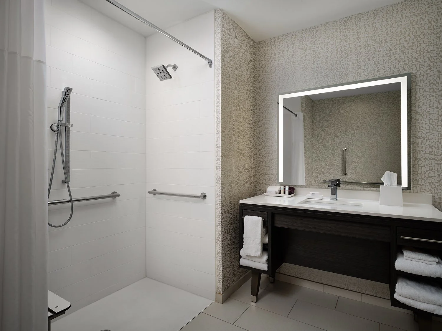 Troy Hampton Inn room 124 ADA bath roll-in  .JPG