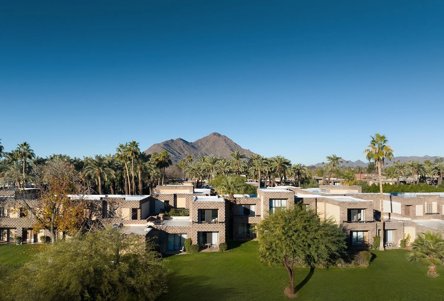 DJI_20240126075947_0062_D VU 1.JPG