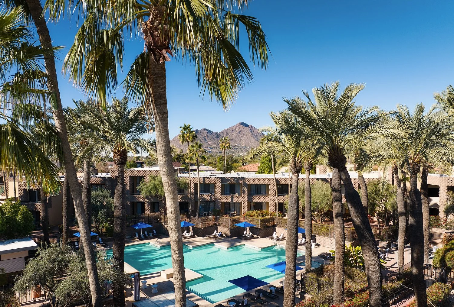 DJI_20240126094831_0149_D VU.JPG