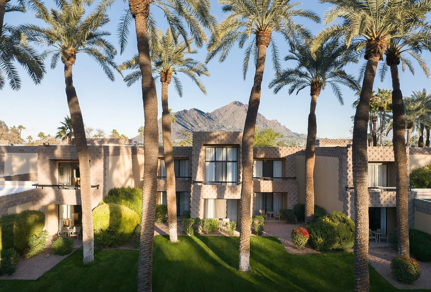 DJI_20240126160803_0238_D VU.JPG