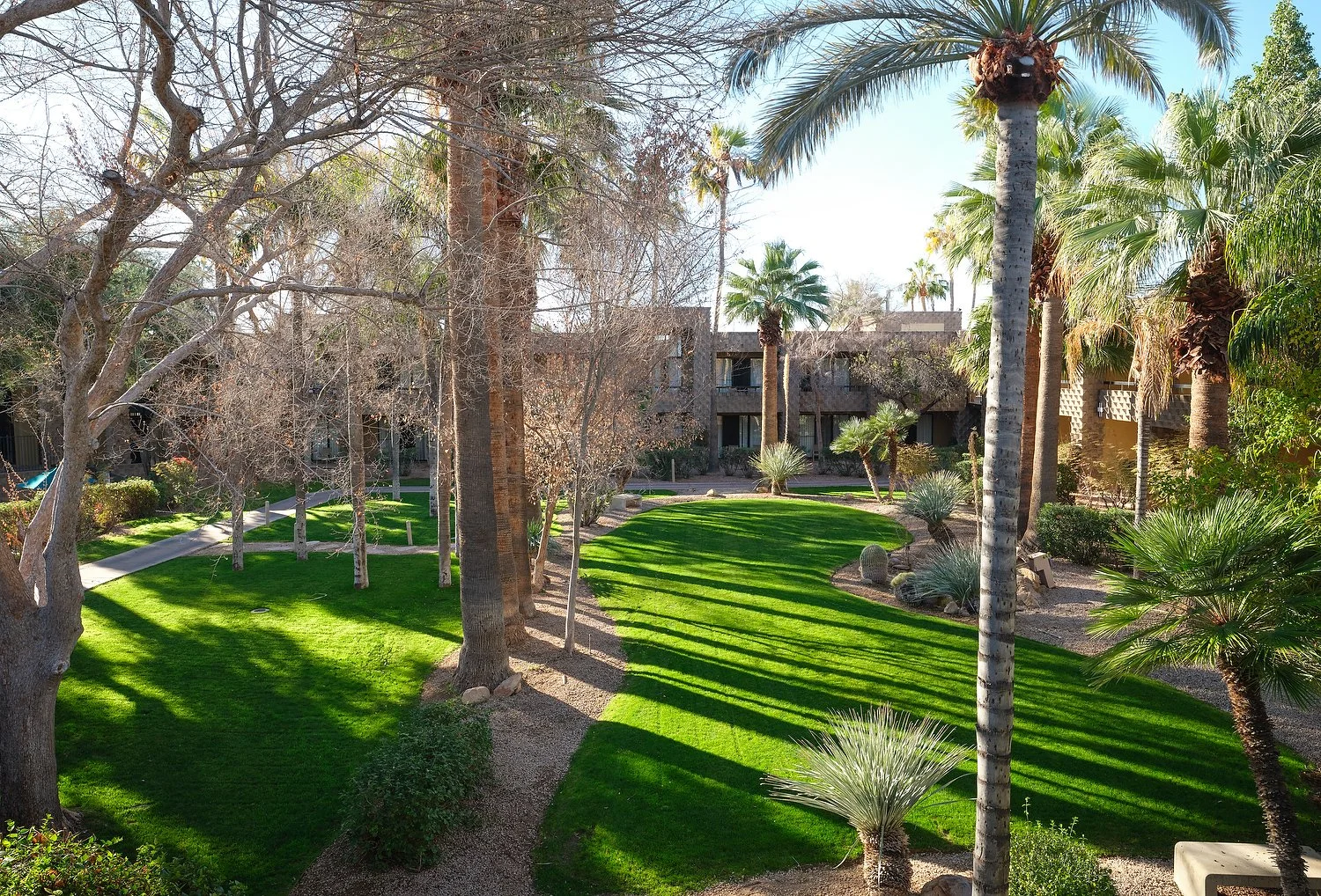 Scottsdale DoubleTree161420.JPG