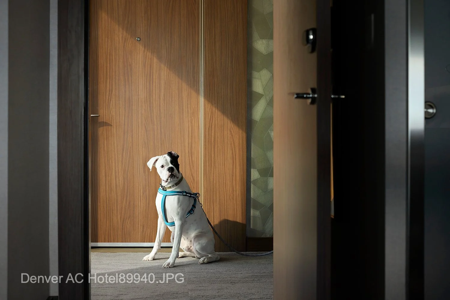 Denver AC Hotel89940.JPG