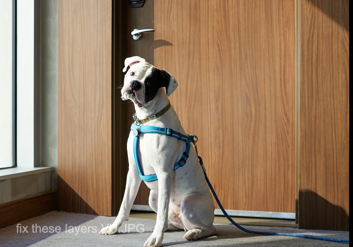 fix these layers VU.JPG